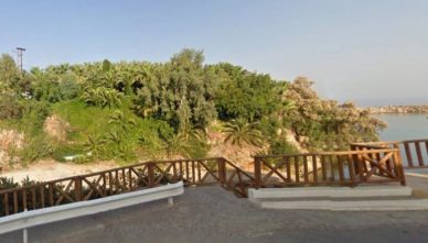 пальмы-в-сисси Пальмовый парк в поселке Сисси на Крите