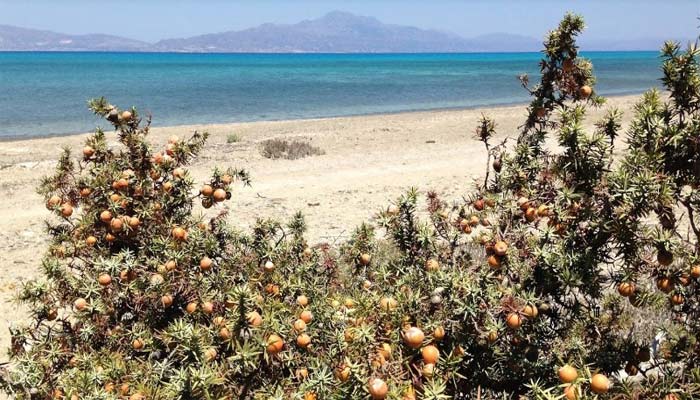 Пляж Chatzivolakas beach из ожерелья острова Хриси