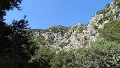 Ущелье-Саракина-фото Фото ущелья Саракина на острове Крит