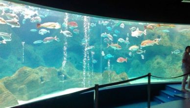 аквариум крита Критский аквариум Cretaquarium