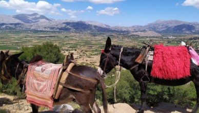 плато лассити Фото плато Лассити на Крите